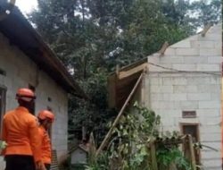 Pohon Tumbang Timpa Dua Rumah di Jonggol, BPBD Evakuasi dengan Gergaji Mesin