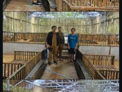 Perkuat Tata Kelola Desa, Kasi PMD Kecamatan Cikidang Laksanakan Monev di BUMDes Cicareuh