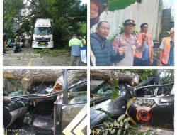 Pohon Tumbang di Jalur Ciawi–Sukabumi Timpa Truk Wing Box dan Mobil Dinas Polisi, Satu Anggota Luka Serius