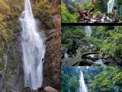 Curug Cikaracak Menanti Investor, Potensi Wisata Alam Bogor Siap Dikembangkan